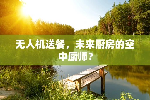 无人机送餐，未来厨房的空中厨师？
