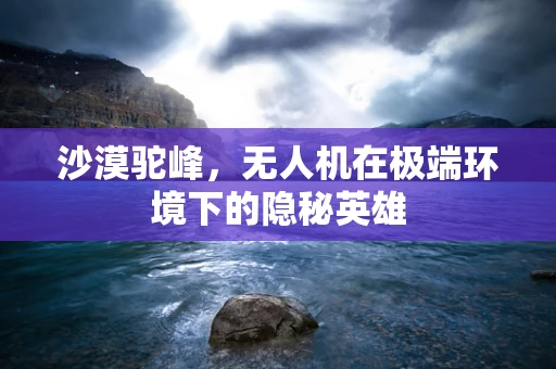 沙漠驼峰，无人机在极端环境下的隐秘英雄