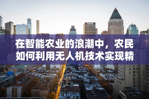 在智能农业的浪潮中，农民如何利用无人机技术实现精准种植？