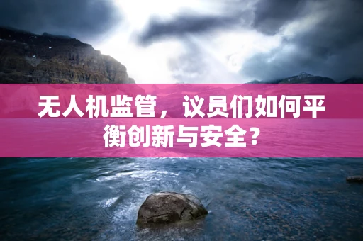无人机监管，议员们如何平衡创新与安全？