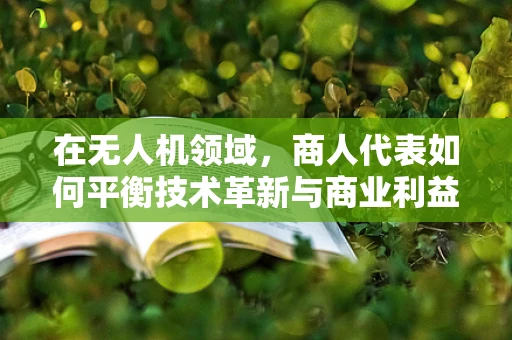 在无人机领域，商人代表如何平衡技术革新与商业利益？
