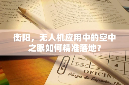 衡阳，无人机应用中的空中之眼如何精准落地？