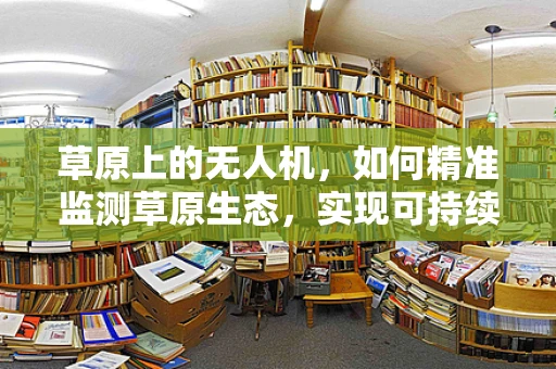 草原上的无人机，如何精准监测草原生态，实现可持续发展？