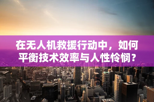 在无人机救援行动中，如何平衡技术效率与人性怜悯？