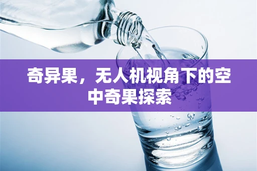 奇异果，无人机视角下的空中奇果探索