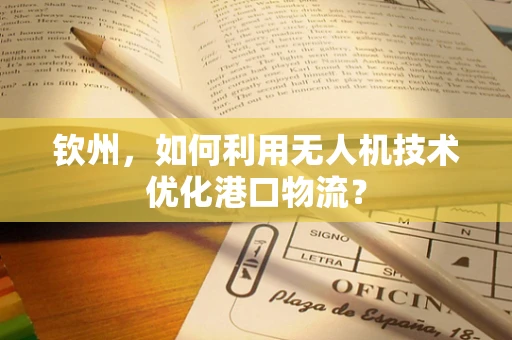 钦州，如何利用无人机技术优化港口物流？