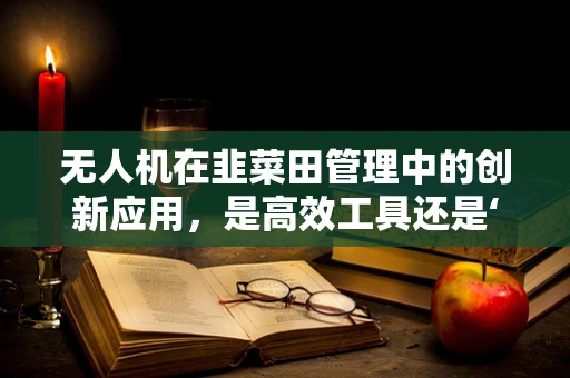 无人机在韭菜田管理中的创新应用，是高效工具还是‘空中韭菜’？