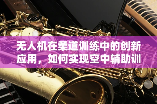 无人机在柔道训练中的创新应用，如何实现空中辅助训练？