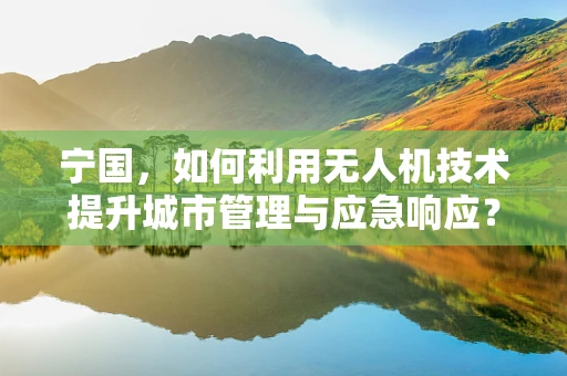 宁国，如何利用无人机技术提升城市管理与应急响应？