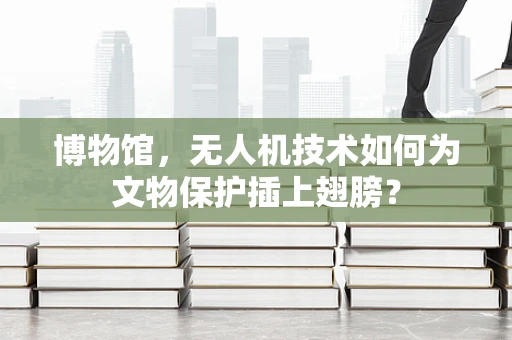 博物馆，无人机技术如何为文物保护插上翅膀？