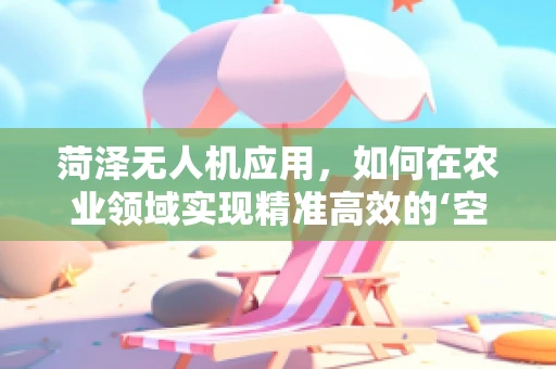菏泽无人机应用，如何在农业领域实现精准高效的‘空中耕耘’？