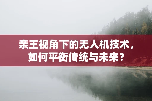 亲王视角下的无人机技术，如何平衡传统与未来？