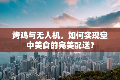 烤鸡与无人机，如何实现空中美食的完美配送？