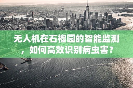 无人机在石榴园的智能监测，如何高效识别病虫害？