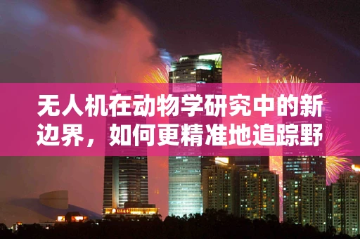 无人机在动物学研究中的新边界，如何更精准地追踪野生动物迁徙？