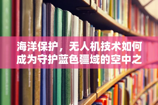 海洋保护，无人机技术如何成为守护蓝色疆域的空中之眼？