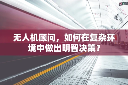 无人机顾问，如何在复杂环境中做出明智决策？