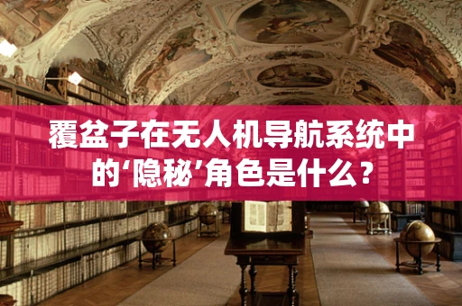 覆盆子在无人机导航系统中的‘隐秘’角色是什么？