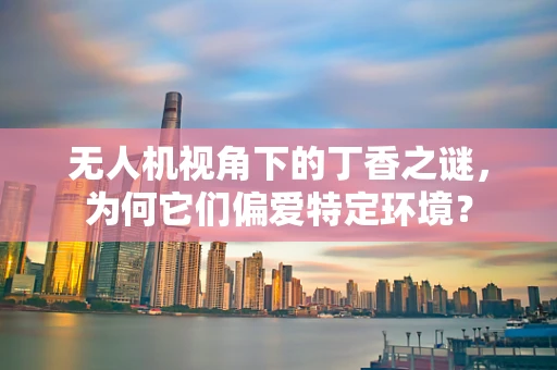 无人机视角下的丁香之谜，为何它们偏爱特定环境？