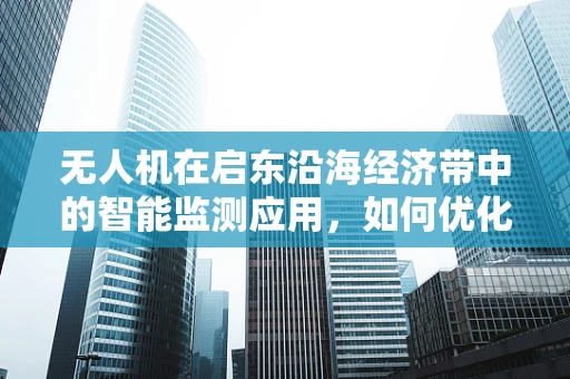 无人机在启东沿海经济带中的智能监测应用，如何优化飞行路径以提升效率？