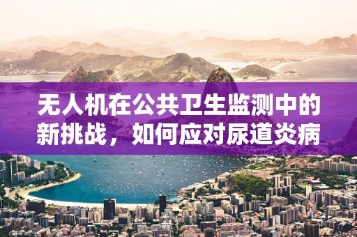 无人机在公共卫生监测中的新挑战，如何应对尿道炎病例的快速响应？