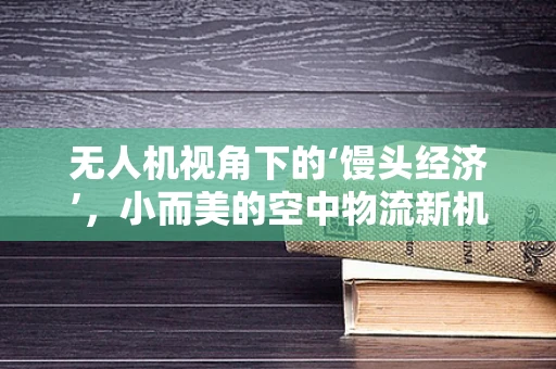 无人机视角下的‘馒头经济’，小而美的空中物流新机遇？