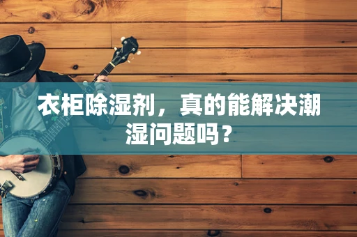 衣柜除湿剂，真的能解决潮湿问题吗？