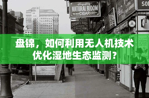 盘锦，如何利用无人机技术优化湿地生态监测？