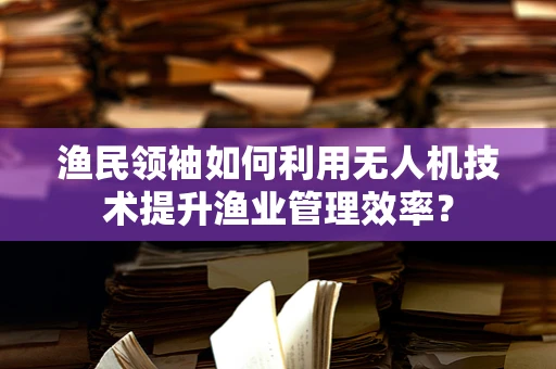 渔民领袖如何利用无人机技术提升渔业管理效率？