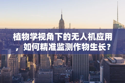 植物学视角下的无人机应用，如何精准监测作物生长？