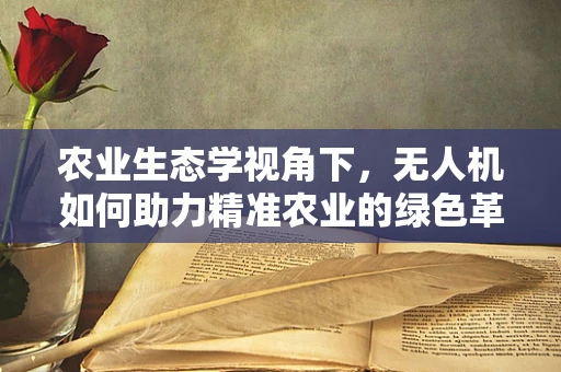 农业生态学视角下，无人机如何助力精准农业的绿色革命？