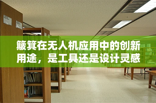 簸箕在无人机应用中的创新用途，是工具还是设计灵感？