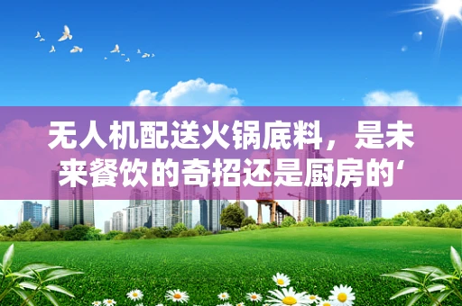 无人机配送火锅底料，是未来餐饮的奇招还是厨房的‘空中飞侠’？