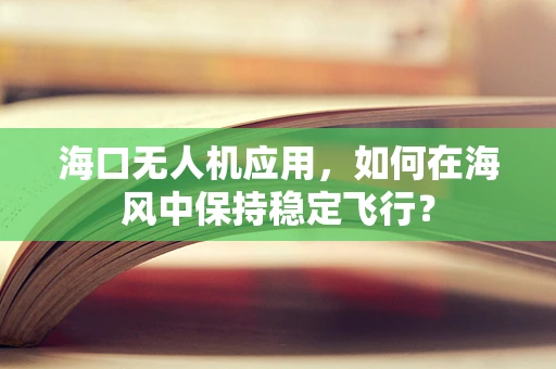 海口无人机应用，如何在海风中保持稳定飞行？