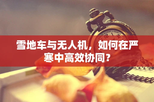 雪地车与无人机，如何在严寒中高效协同？