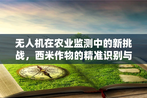 无人机在农业监测中的新挑战，西米作物的精准识别与监测