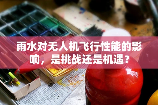 雨水对无人机飞行性能的影响，是挑战还是机遇？