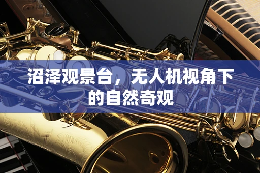 沼泽观景台，无人机视角下的自然奇观