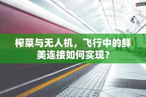 榨菜与无人机，飞行中的鲜美连接如何实现？