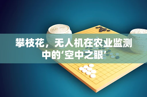 攀枝花，无人机在农业监测中的‘空中之眼’