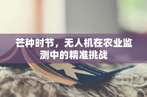 芒种时节，无人机在农业监测中的精准挑战