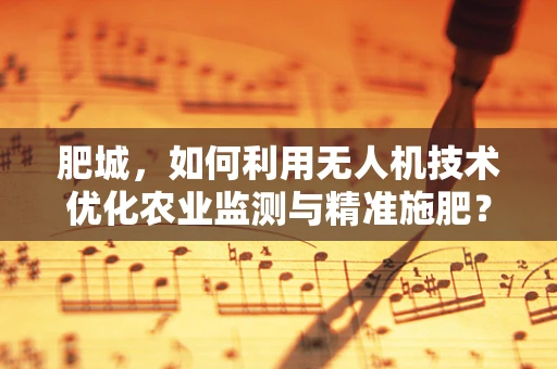 肥城，如何利用无人机技术优化农业监测与精准施肥？