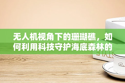无人机视角下的珊瑚礁，如何利用科技守护海底森林的美丽？