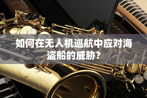 如何在无人机巡航中应对海盗船的威胁？