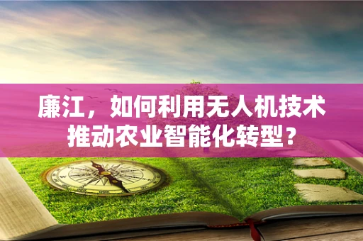 廉江，如何利用无人机技术推动农业智能化转型？