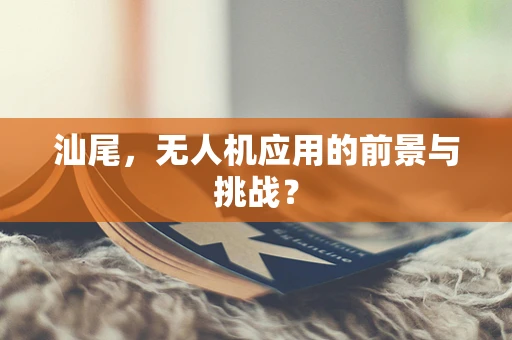 汕尾，无人机应用的前景与挑战？