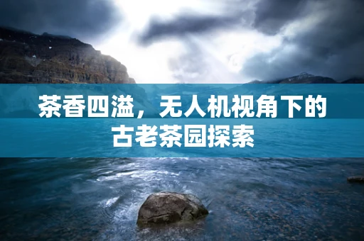 茶香四溢，无人机视角下的古老茶园探索
