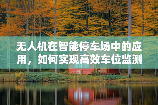 无人机在智能停车场中的应用，如何实现高效车位监测与导航？