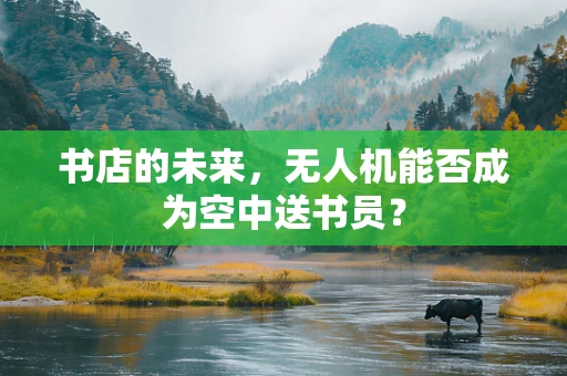 书店的未来，无人机能否成为空中送书员？