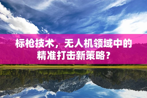标枪技术，无人机领域中的精准打击新策略？